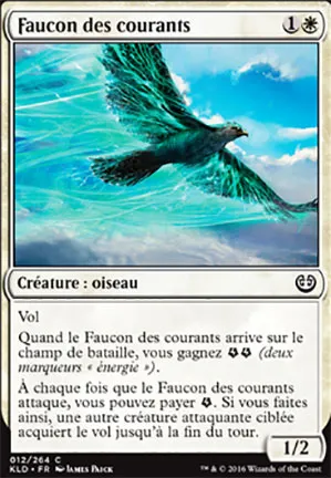 Faucon des courants