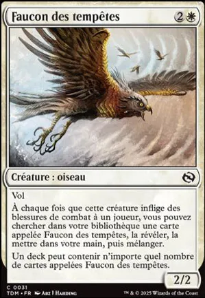 Faucon des tempêtes