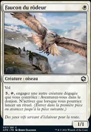 Faucon du rôdeur
