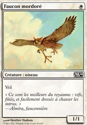 Faucon mordoré