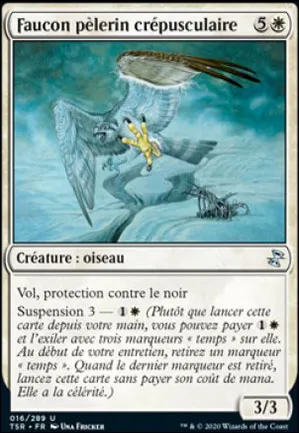 Faucon pèlerin crépusculaire