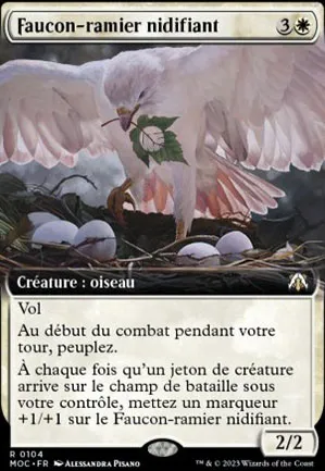 Faucon-ramier nidifiant