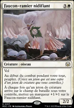 Faucon-ramier nidifiant