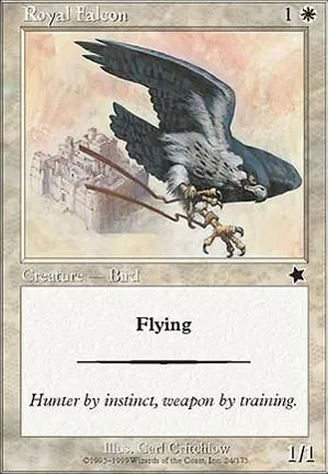 Faucon Royal