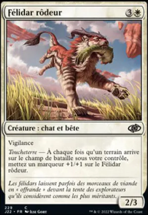 Félidar rôdeur