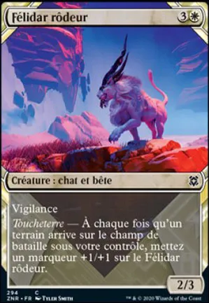 Félidar rôdeur