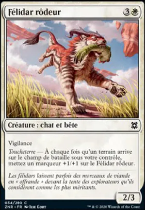Félidar rôdeur