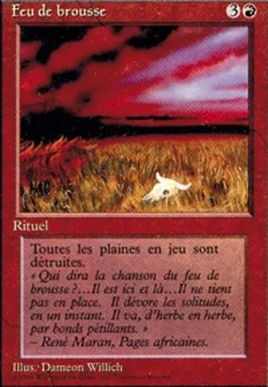 Feu de brousse