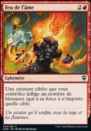 Feu de l'âme