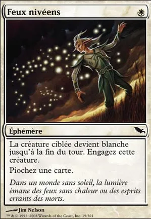 Feux nivéens