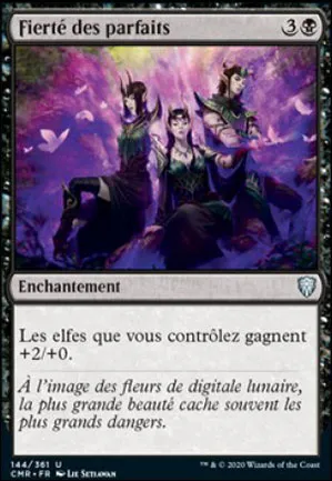 Fierté des parfaits
