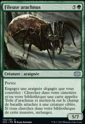 Fileuse arachnus