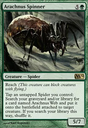 Fileuse arachnus