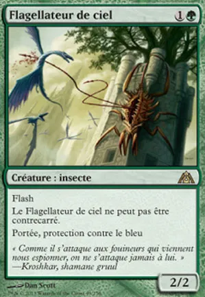 Flagellateur de ciel