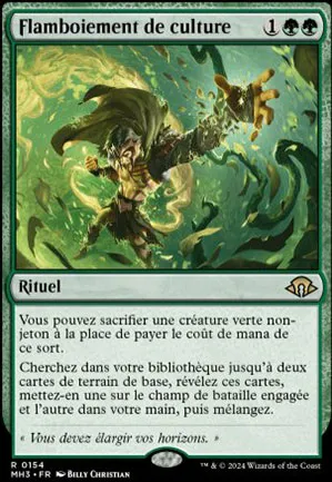 Flamboiement de culture
