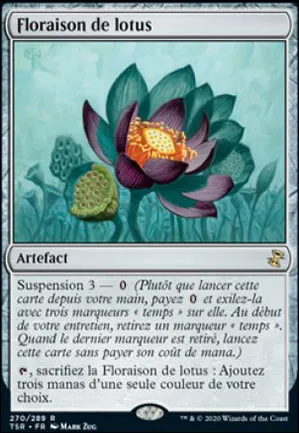 Floraison de lotus
