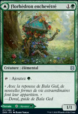 Florhèdron enchevêtré // Val enchevêtré