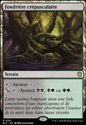 Fondrière crépusculaire
