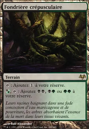 Fondrière crépusculaire