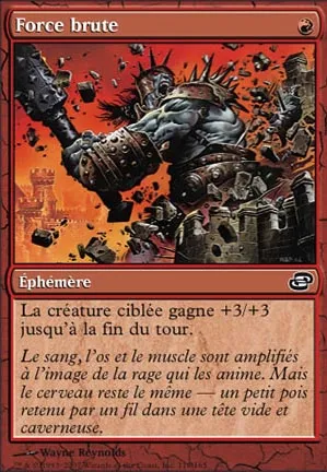 Force brute