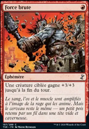 Force brute