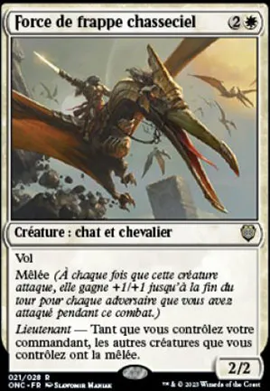 Force de frappe chasseciel