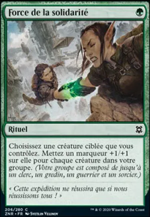 Force de la solidarité