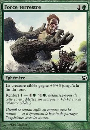 Force terrestre
