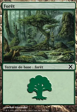 Forêt