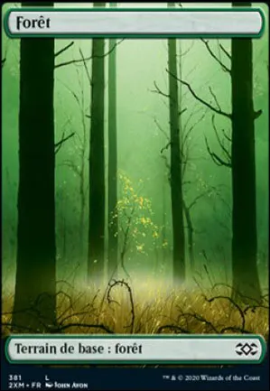 Forêt