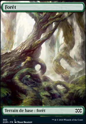 Forêt