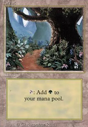 Forêt