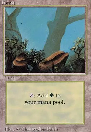 Forêt