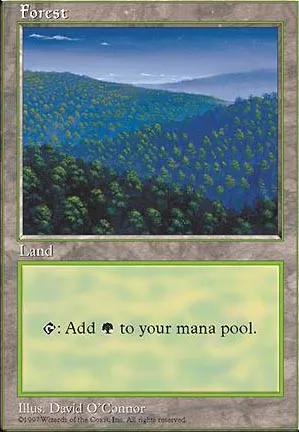 Forêt