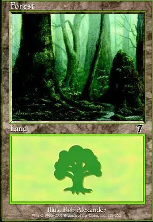 Forêt