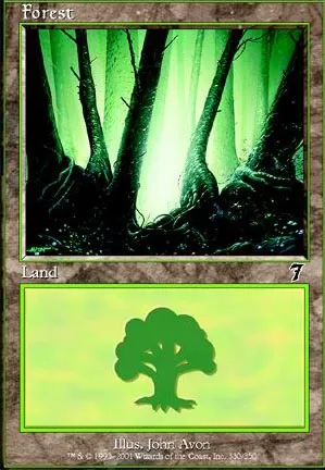 Forêt