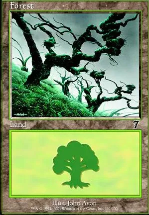 Forêt