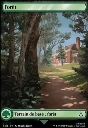 Forêt