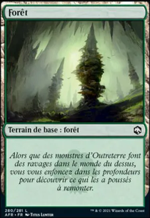 Forêt