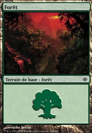 Forêt