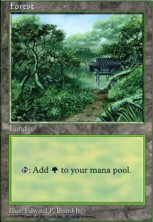 Forêt