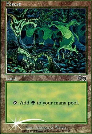 Forêt