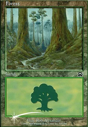 Forêt