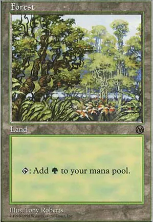 Forêt