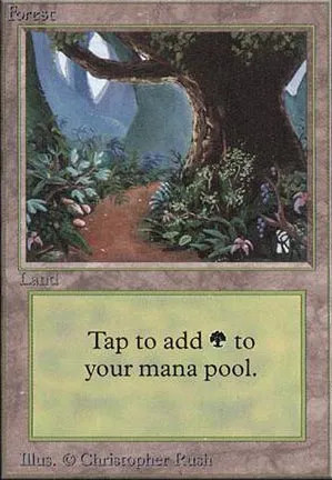 Forêt