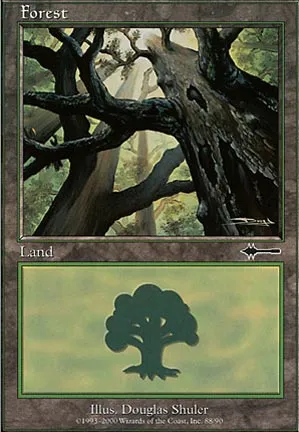 Forêt