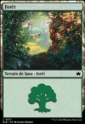 Forêt