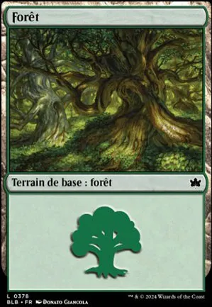 Forêt