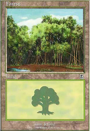 Forêt
