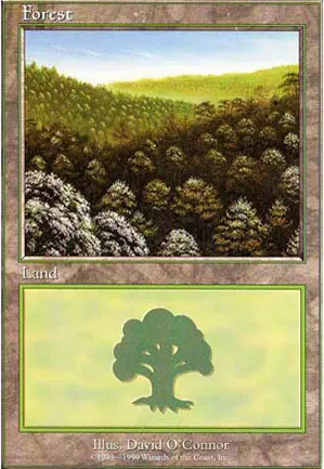 Forêt